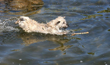 Nicky at the cottage